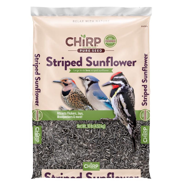 Chirp Pure Seed Striped Sunflower Seed Wild Bird Food 10 lb