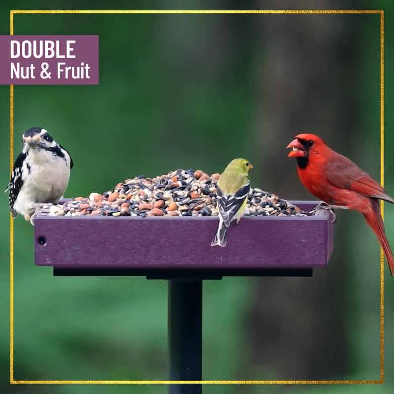 Chirp Max Attract Nut and Fruit Wild Bird Food 7.5 lb