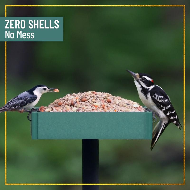Chirp Max Attract No Mess Wild Bird Food 7.5 lb