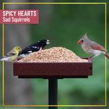 Chirp Max Attract Spicy Sunflower Hearts Wild Bird Food 15 lb