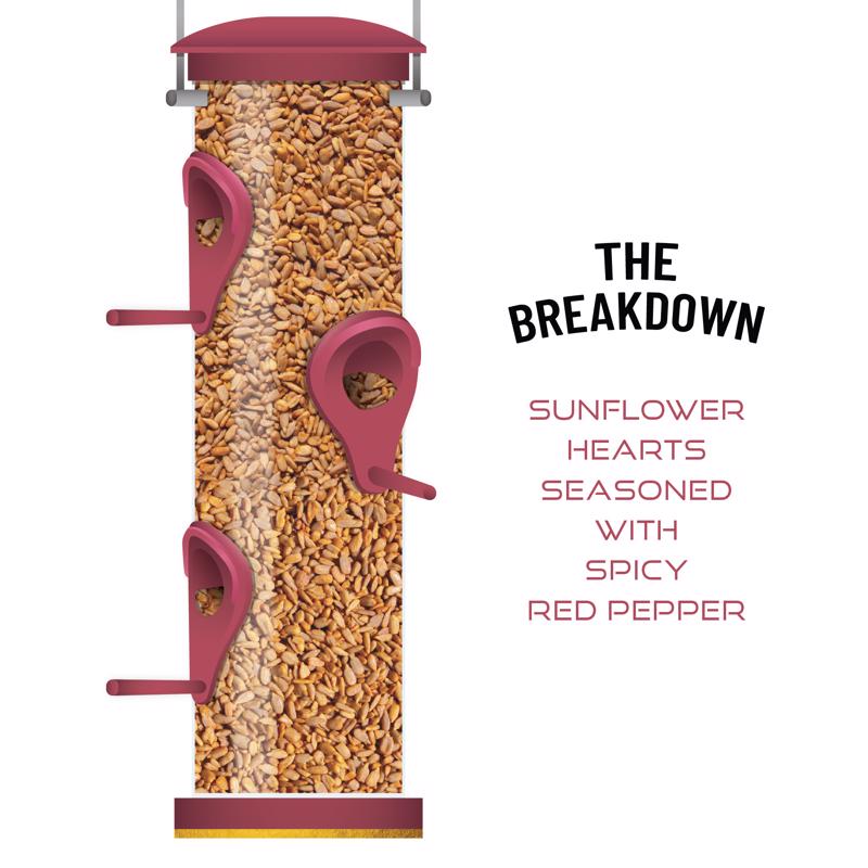 Chirp Max Attract Spicy Sunflower Hearts Wild Bird Food 15 lb
