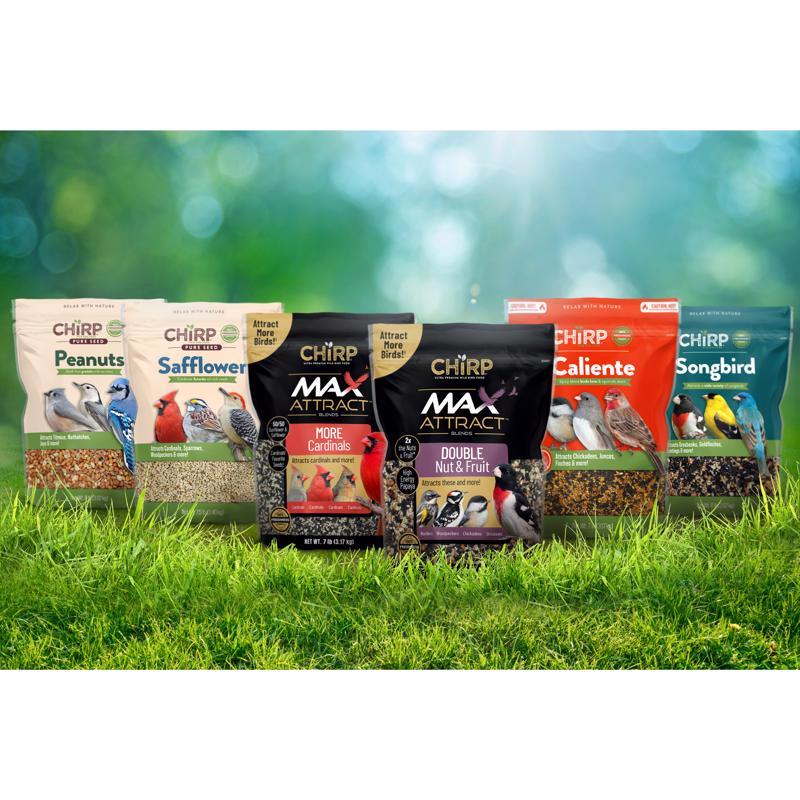 Chirp Songbird Wild Bird Food 8 lb