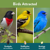 Chirp Songbird Wild Bird Food 15 lb
