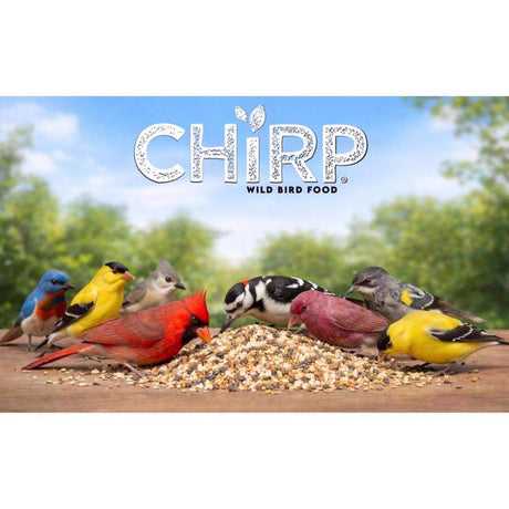 Chirp Caliente Wild Bird Food 7 lb