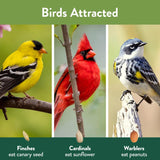 Chirp No Mess Wild Bird Food 18 lb