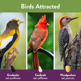 Chirp Nut and Fruit Wild Bird Food 15 lb