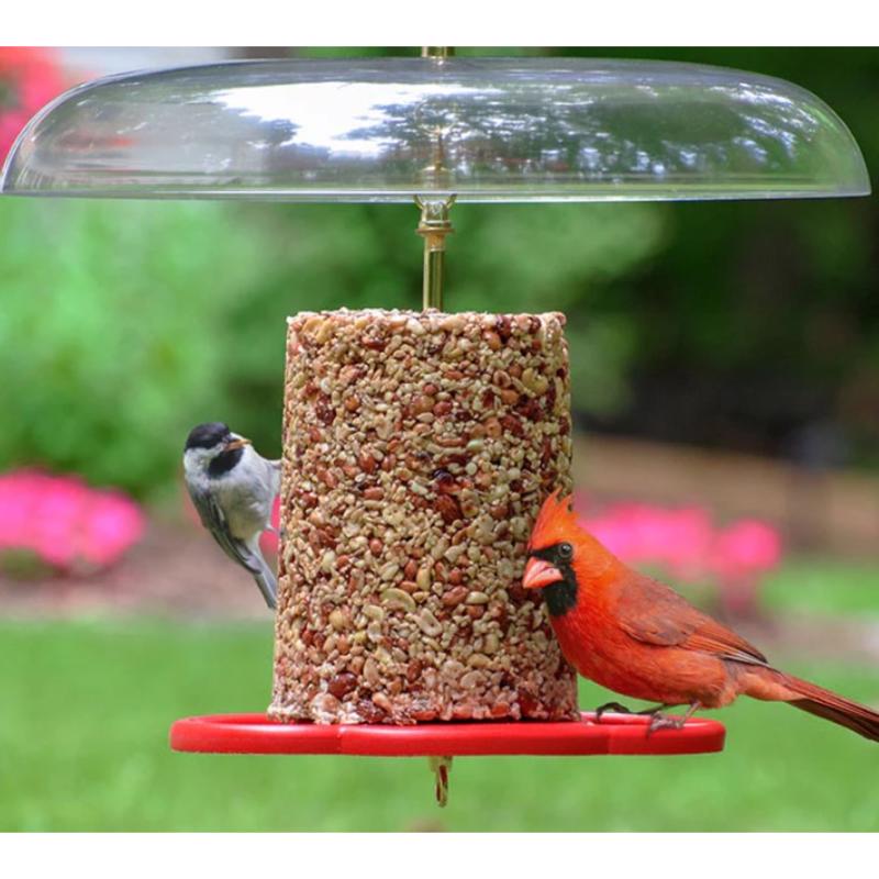 Birds Choice Bird Seed 2.5 lb