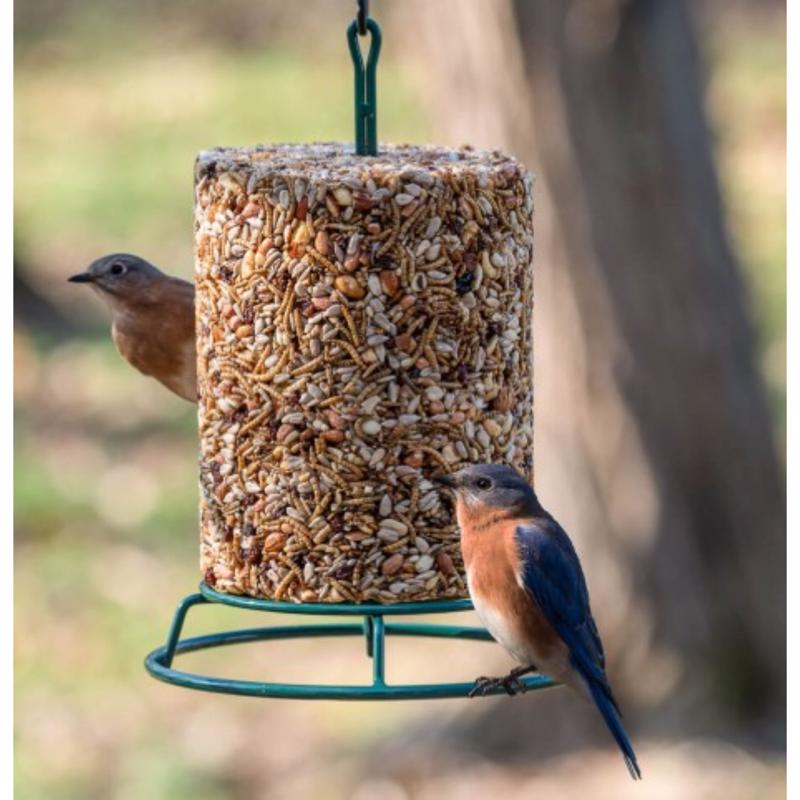 Birds Choice Bird Seed 2.5 lb