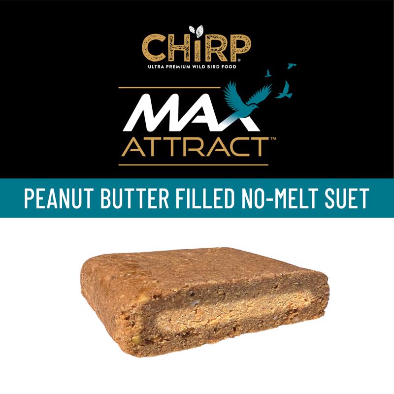 Chirp Max Attract Peanut Butter Suet 12 oz