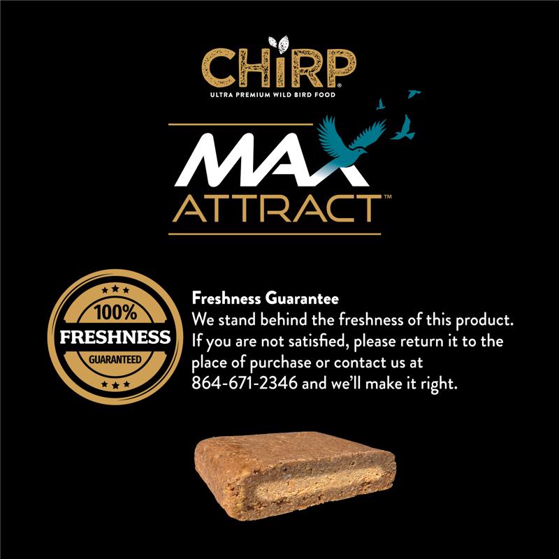Chirp Max Attract Peanut Butter Suet 12 oz