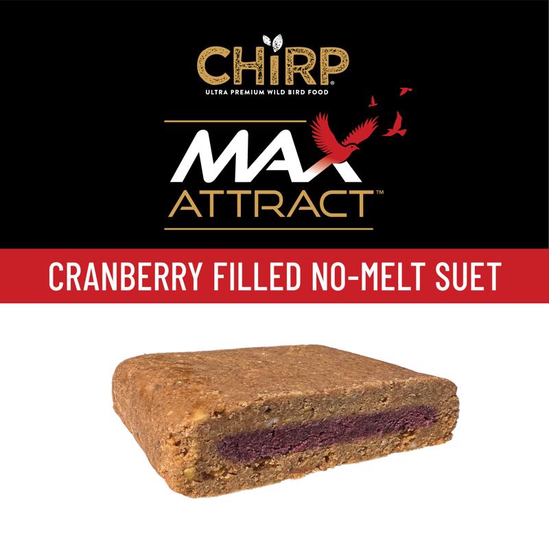 Chirp Max Attract Cranberry Suet 12 oz