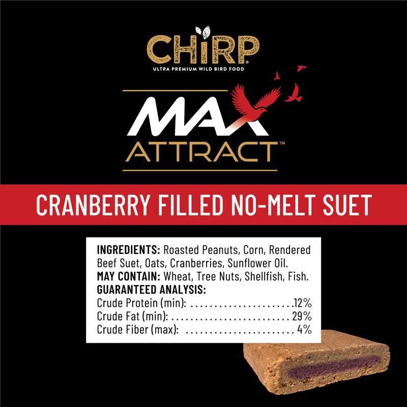 Chirp Max Attract Cranberry Suet 12 oz