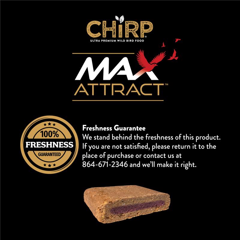 Chirp Max Attract Cranberry Suet 12 oz