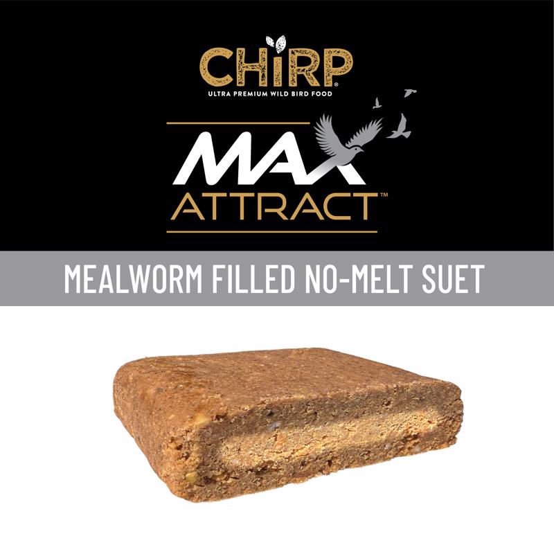 Chirp Max Attract Mealworm Suet 12 oz