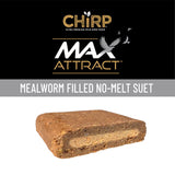 Chirp Max Attract Mealworm Suet 12 oz