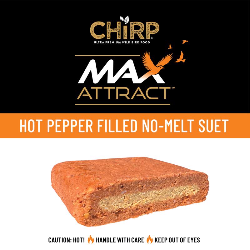 Chirp Max Attract Hot Pepper Suet 12 oz