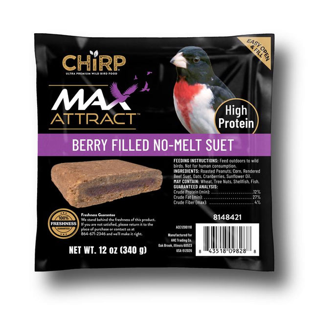 Chirp Max Attract Berry Suet 12 oz