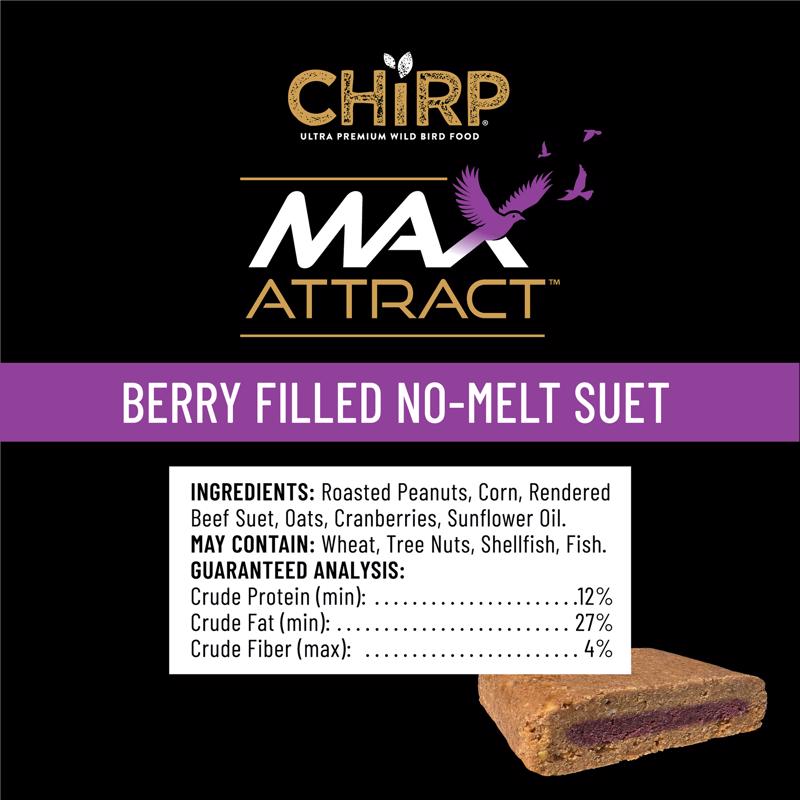 Chirp Max Attract Berry Suet 12 oz