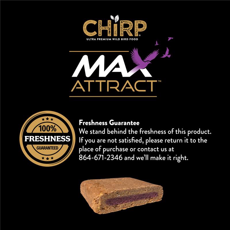 Chirp Max Attract Berry Suet 12 oz