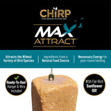 Chirp Max Attract Peanut Butter Suet 17 oz