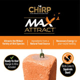 Chirp Max Attract Hot Pepper Suet 17 oz