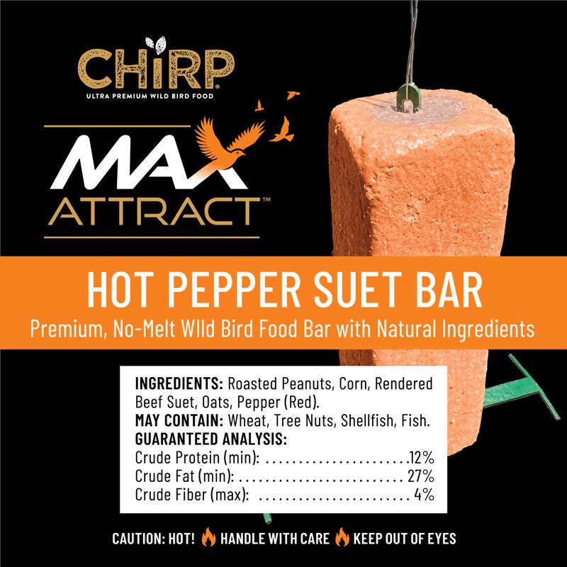 Chirp Max Attract Hot Pepper Suet 17 oz
