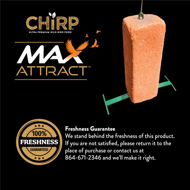 Chirp Max Attract Hot Pepper Suet 17 oz