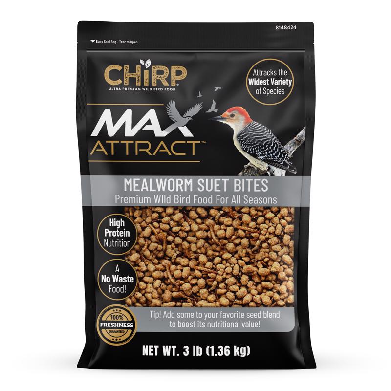Chirp Max Attract Mealworm Suet 3 lb
