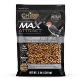 Chirp Max Attract Mealworm Suet 3 lb