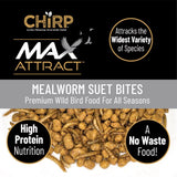 Chirp Max Attract Mealworm Suet 3 lb