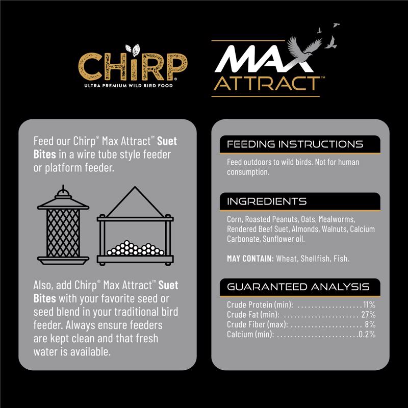 Chirp Max Attract Mealworm Suet 3 lb