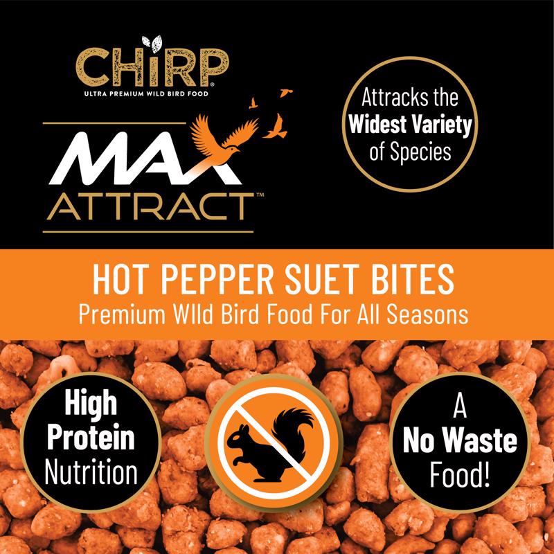 Chirp Max Attract Hot Pepper Suet 3 lb