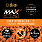 Chirp Max Attract Hot Pepper Suet 3 lb