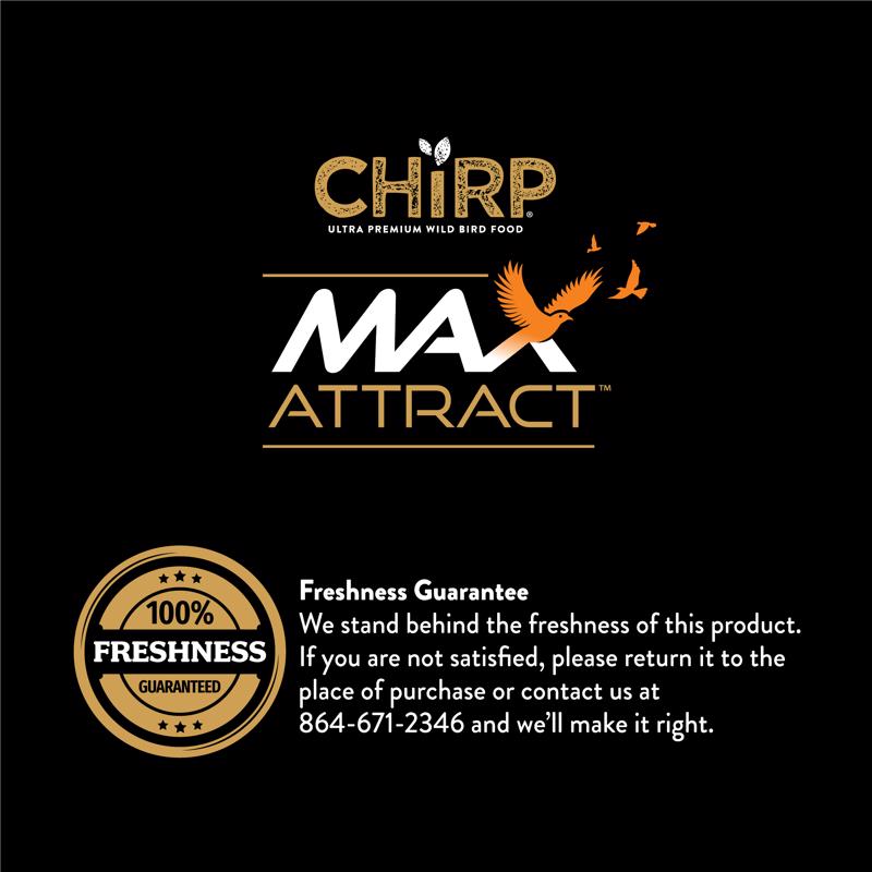 Chirp Max Attract Hot Pepper Suet 3 lb