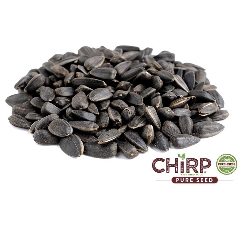 Chirp Black Oil Sunflower Wild Bird Food 20 lb