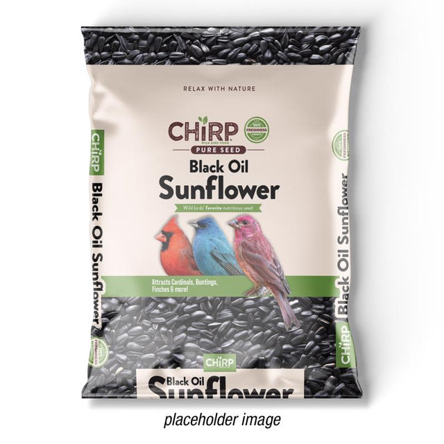 Chirp Black Oil Sunflower Wild Bird Food 10 lb