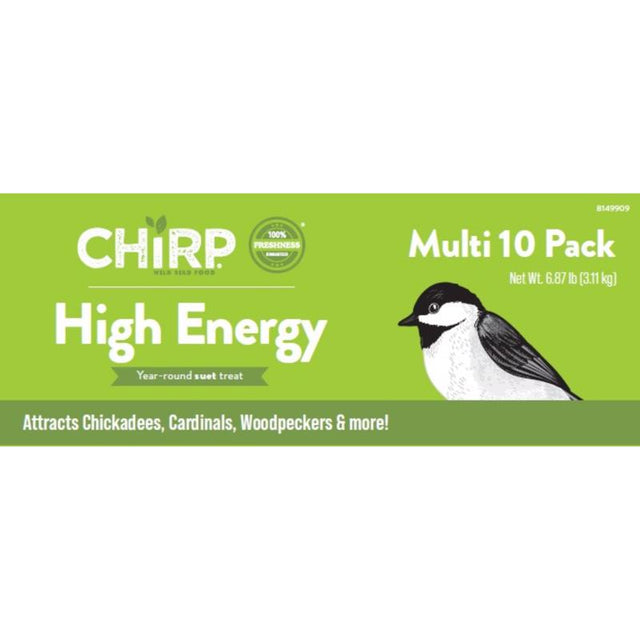 Chirp High Energy Suet Mixed Seed Suet 11 oz