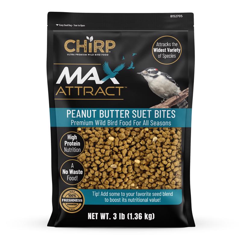 Chirp Max Attract Peanut Butter Suet 3 lb