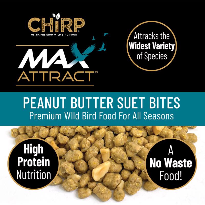 Chirp Max Attract Peanut Butter Suet 3 lb