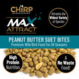 Chirp Max Attract Peanut Butter Suet 3 lb