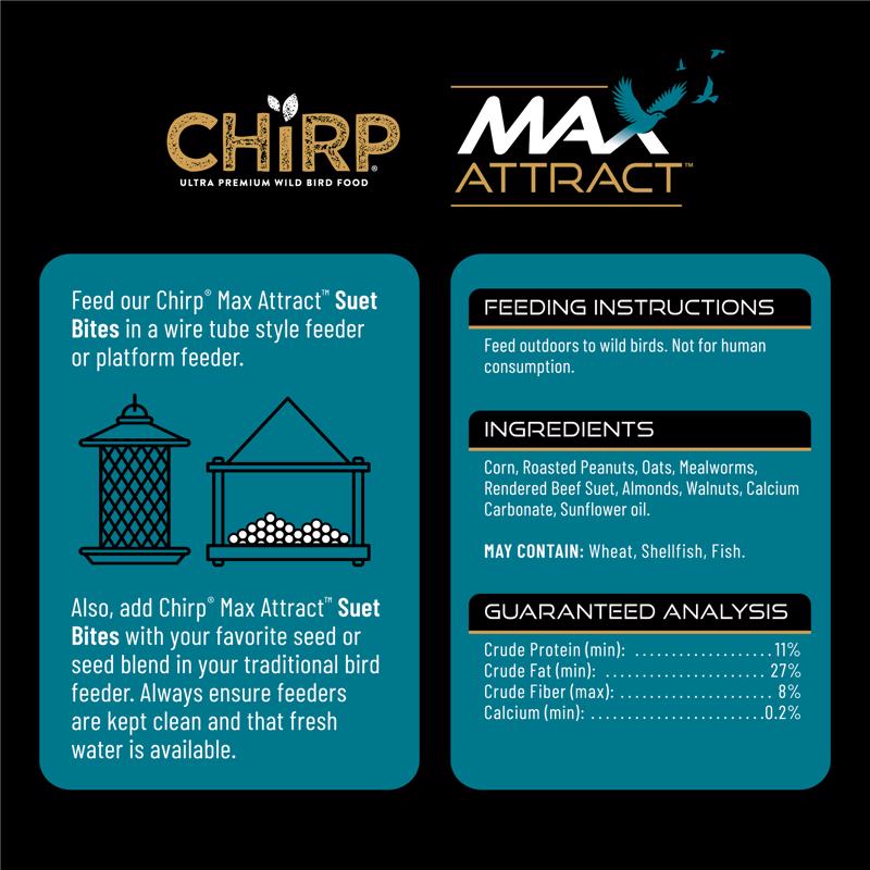 Chirp Max Attract Peanut Butter Suet 3 lb