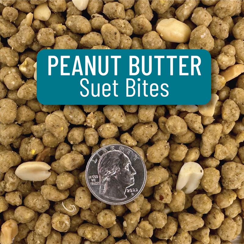 Chirp Max Attract Peanut Butter Suet 3 lb