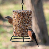 Birds Choice 5 lb Metal Seed Cylinder Hanging Bird Feeder