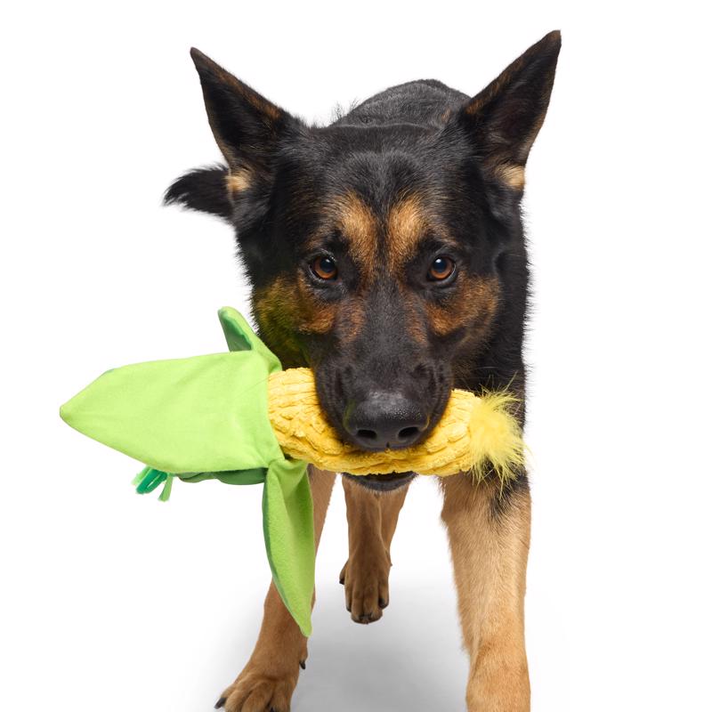 Bark Pet Toy
