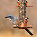 Perky-Pet Wild Bird and Finch 1.8 lb Plastic Bird Feeder 4 ports