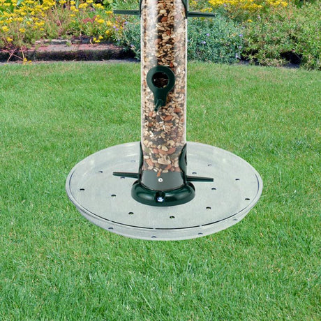 Audubon 10.38 in. H X 10.38 in. W X 1.25 in. D Wild Bird Food Preserver