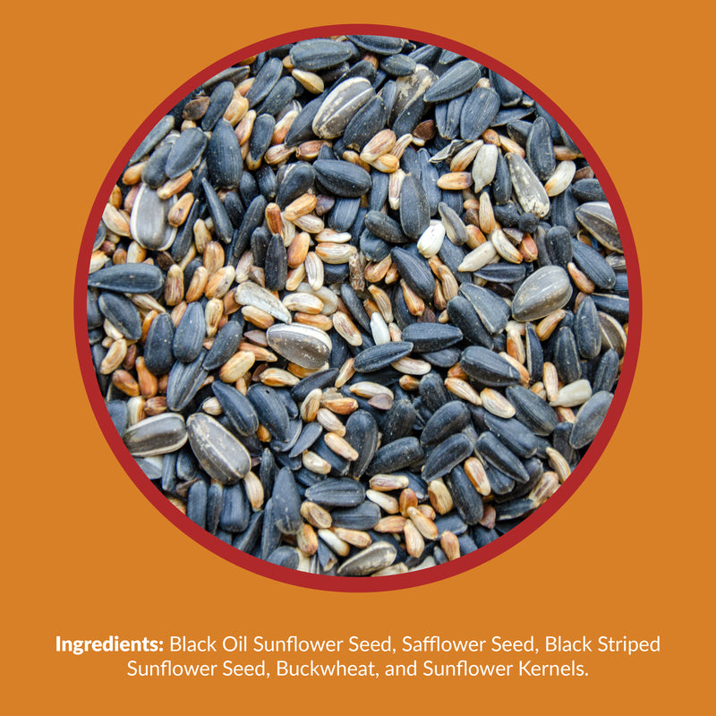 Lyric Cardinal Sunflower Seeds Wild Bird Food 3.75 lb
