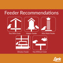 Lyric Cardinal Sunflower Seeds Wild Bird Food 3.75 lb