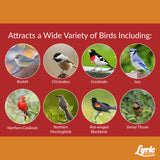 Lyric Cardinal Sunflower Seeds Wild Bird Food 3.75 lb