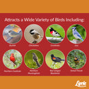 Lyric Cardinal Sunflower Seeds Wild Bird Food 3.75 lb